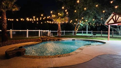 Pearland Casa | The Blue Oasis - Palm & Pool Retreat