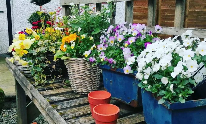 Windermere Hotel | The Brown Horse Inn