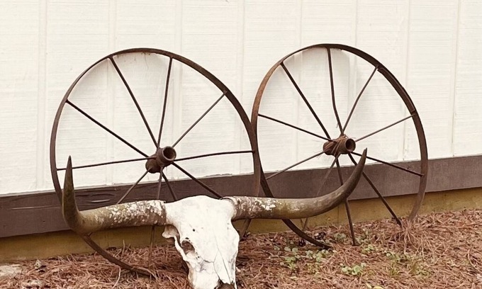 Madison Cabina | The Bunkhouse