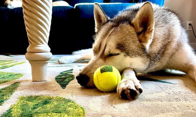 Baraboo Casa | The Circus City Retreat