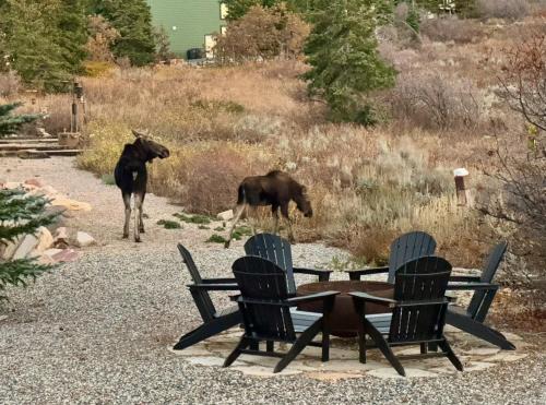 Summit Park Casa | The Crestview Cabin Hot Tub & Alpine Views