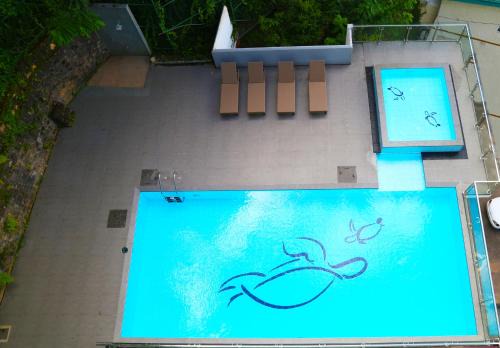 Kandy Complejo | The Dorwin Heights