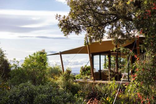 Havelock North Otro | The Enchanted Retreat - Unforgettable Luxury Glamping