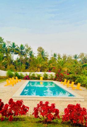 Agara Otro | The Fairy Tale Farms