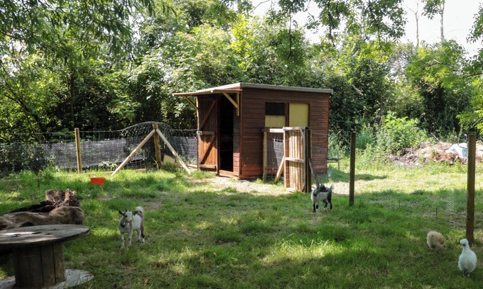 Shepperdine Cabaña | The Foxes Den Shepherds Hut