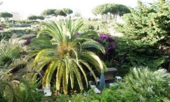 Trecase Villa | El jardín de Villa Ana, Vistas Habitación Capri
