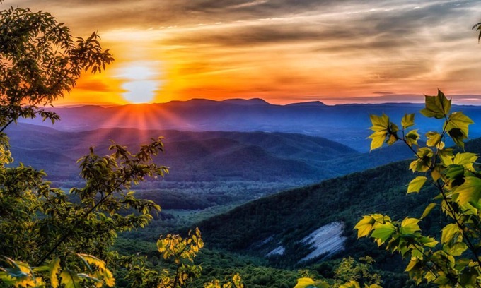 Lynchburg Casa | The Hidden Wooded Ranch 3Bd/1Ba Home, Close to LU, Downtown and U of Lynchburg