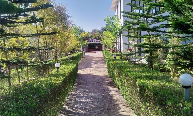 Bedla Complejo | The High Garden Resort