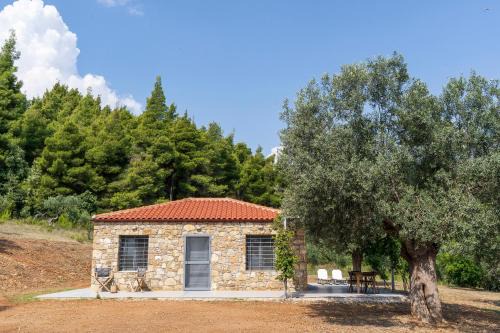 Sithonia Casa | The Ideal Secluded Retreat