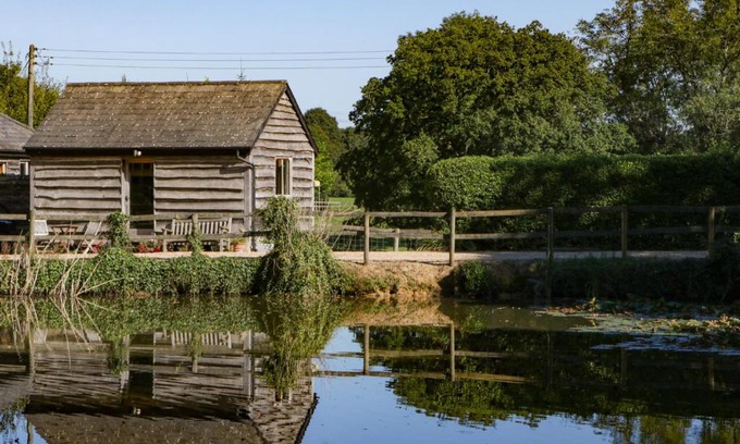 New Forest District Casa | The Little Granary