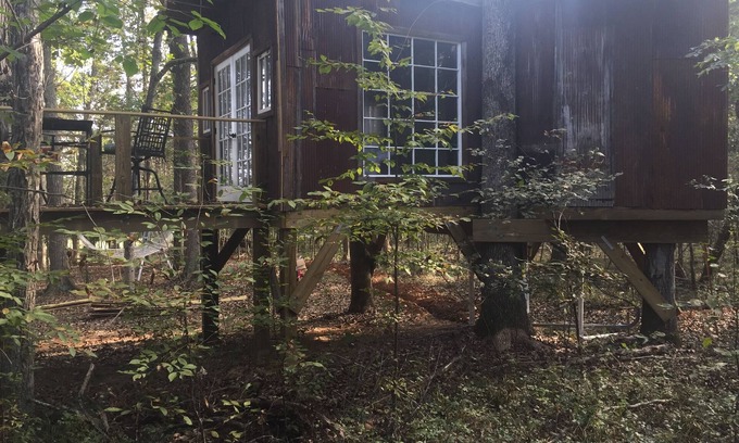 Mount Juliet Casa | Casa del árbol aislada "The Nest" cerca del aeropuerto de Nashville