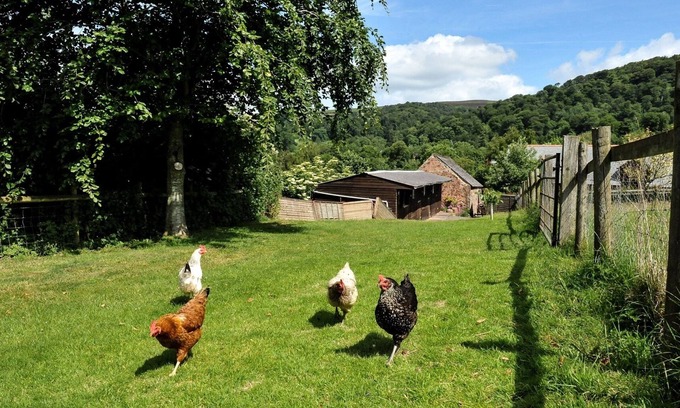 Crowcombe Casa | The Old Bakery (Sleeps 4. 2 habitaciones)
