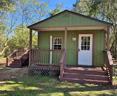 Evergreen Casa | The Owl's Nest