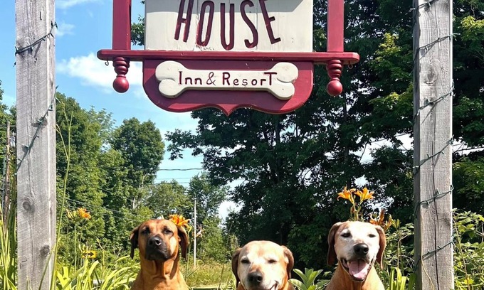 West Rutland Cabaña | The Paw House Inn & Country Cottages