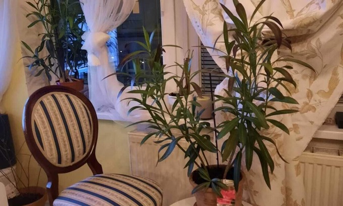 Mariahilf Apartamento | The Place to be City Center Appartements