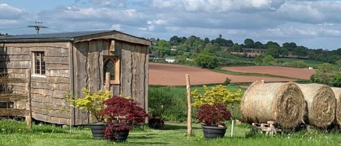 Much Birch Otro | The Queen Bee Cabin