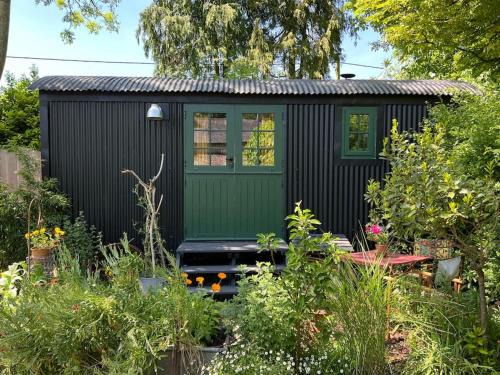 Wingfield Otro | The Rumple Hut