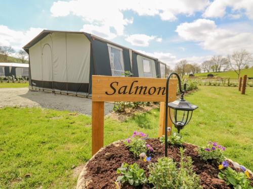 Llandrindod Wells Casa | The Salmon
