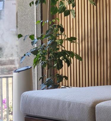 Belagavi Hotel | The Sapphire Hotel