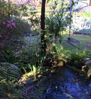Coffs Harbour Apartamento | The singing frogs studio
