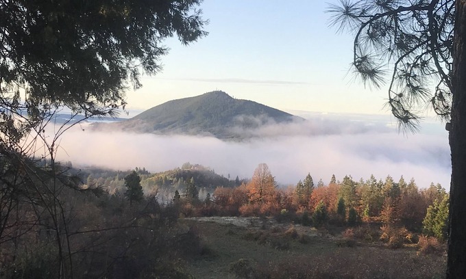 Montgomery Creek Casa | The Terrace House, country living.
