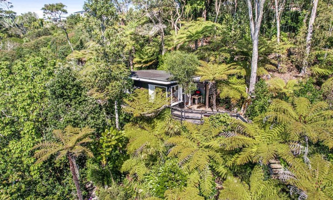 Raglan Casa | The Treehouse - Raglan Holiday Studio