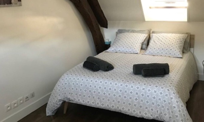 Romorantin-Lanthenay Apartamento | El dúplex recientemente renovado del Vieux Fossés