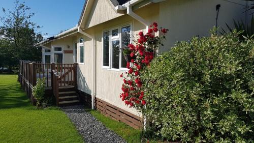 Holsworthy Complejo | Thornbury Holiday Park