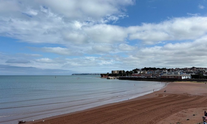 Paignton Hotel | Three palms