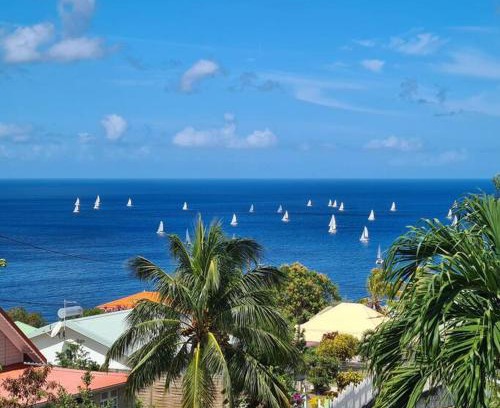 Le Carbet Casa | Ti Sucrier Jaune - Douceur caraïbe vue mer
