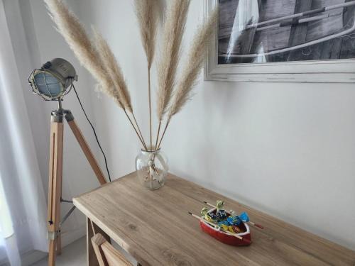 Tigre Apartamento | Tigre Studio Apartment