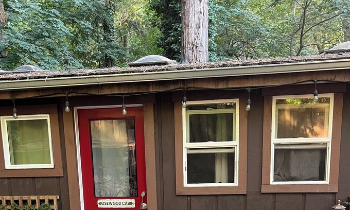 Soquel Cabina | Tiny Art House in the Santa Cruz Mountains