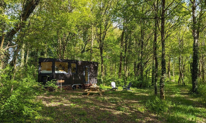 Sonchamp Cabina | Tiny House La Clairière Au Cœur de la Forêt !