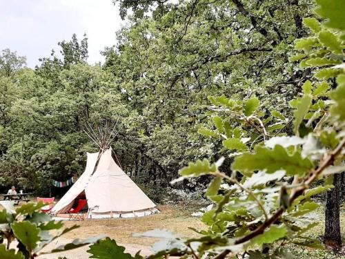 Trans-en-Provence Otro | Tipizen