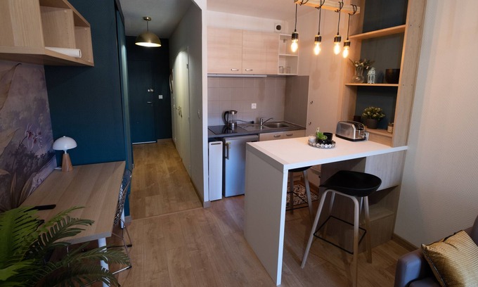 Compans-Caffarelli Apartamento | Toulouse Centre Tbs School Jardín Japonés