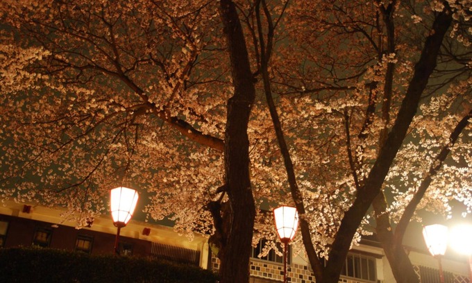 Nagamachi District Hotel | TOWN HOTEL Forty One