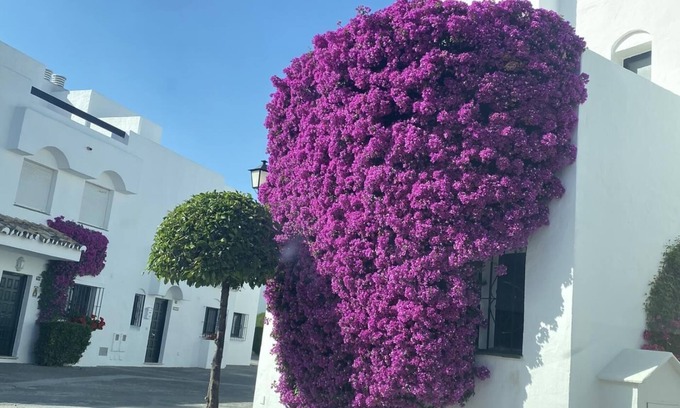 Guadalmina Cabaña | Casa adosada en Marbella Guadalvillas
