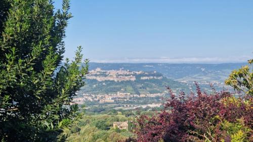 Orvieto Casa | Tra gli ulivi e il panorama
