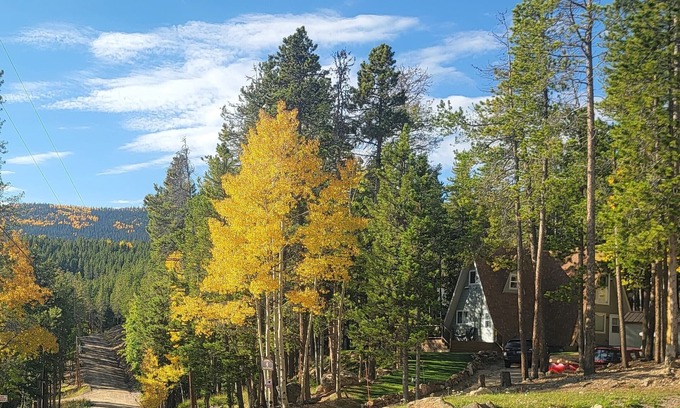 Evergreen Casa | Tranquil & idyllic 3BR/2BA, A-Frame Cabin, w/WiFi in beautiful Evergreen,