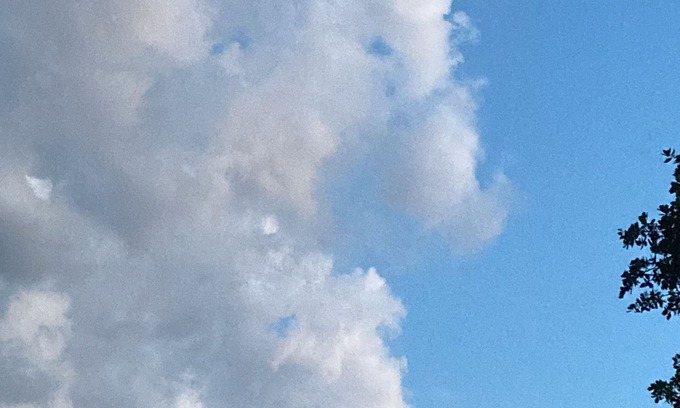 Lacanau Cabina | Traumhaftes Holzhaus auf Stelzen am Lac de Lacanau. Erholung und Natur pur