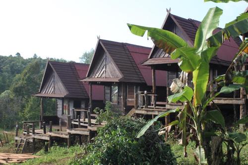 Sen Monorom Cabina | Tree Lodge