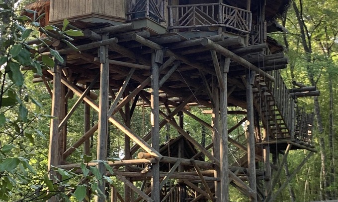 Arkadelphia Cabina | Casa del árbol tropical rodeado de jardines de la selva