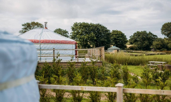 Newquay Cabina | Turkey Dog - A luxury couples+ Yurt on a stunning historic estate near Newquay. Dog friendly