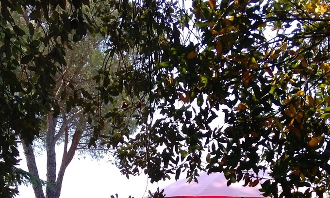 Amelia Villa | dos casas de campo y piscina con capacidad para 6-8