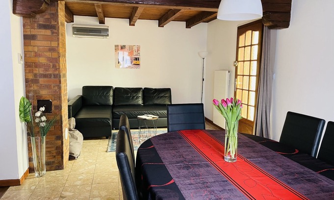 Houssen Casa | Dos golondrinas ***