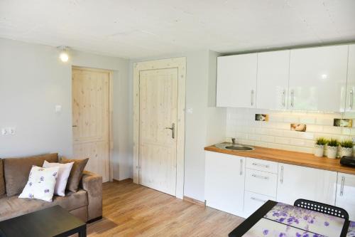 Ustrzyki Dolne Apartamento | U Bednarzy