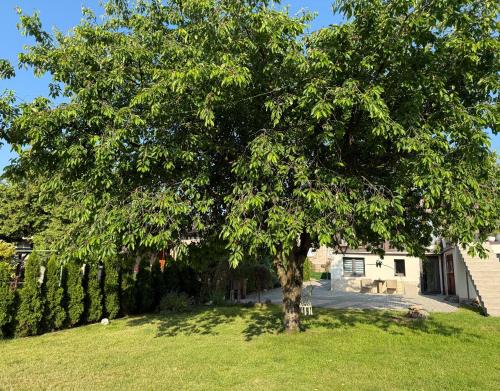 Karlovy Vary Apartamento | U Elinky