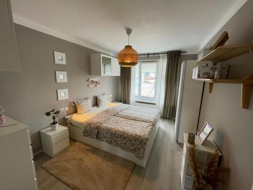 Tirgu Mures Apartamento | Ultracentral Apartment BBs Apartment