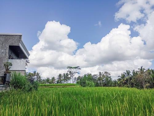 Kenderan Casa | Umah Geina Ubud