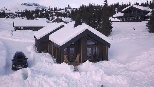 Svingvoll Casa | Unique cabin with fantastic lake view, sauna, ski & EV outlet